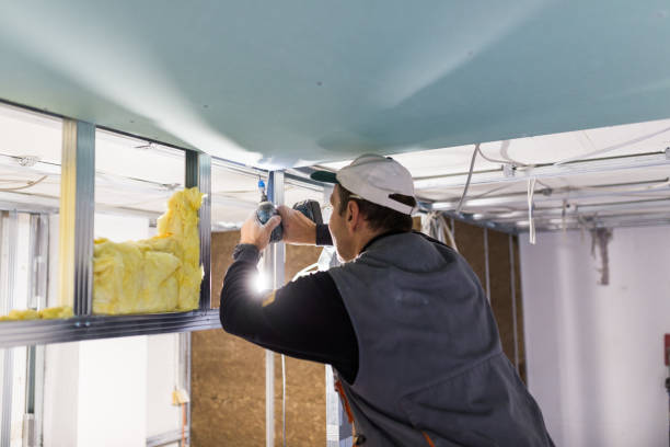 Best Best Insulation Companies  in Bear Rocks, PA