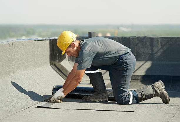 Best Insulation Removal Services  in Bear Rocks, PA