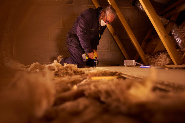 Best Garage Insulation Installation  in Bear Rocks, PA